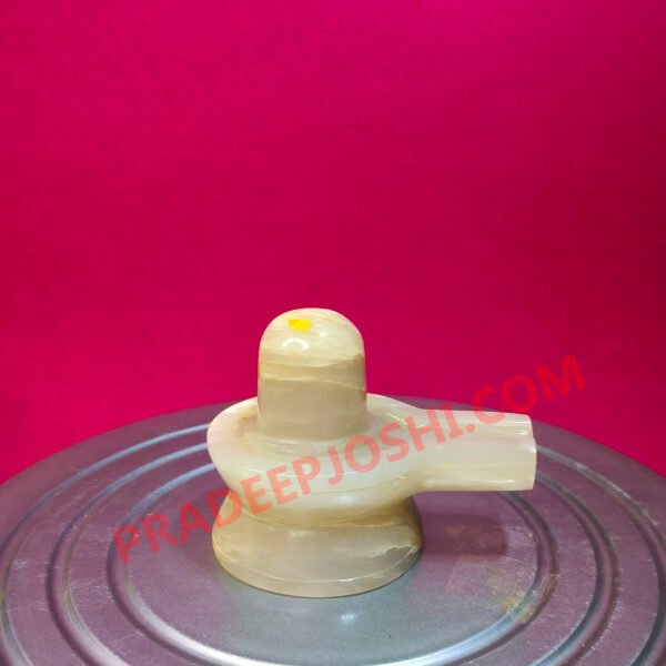 మేధ దక్షిణామూర్తి లింగం